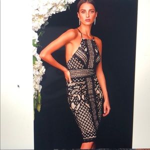 Lulus Primrose Nude and Black Lace Bodycon Midi